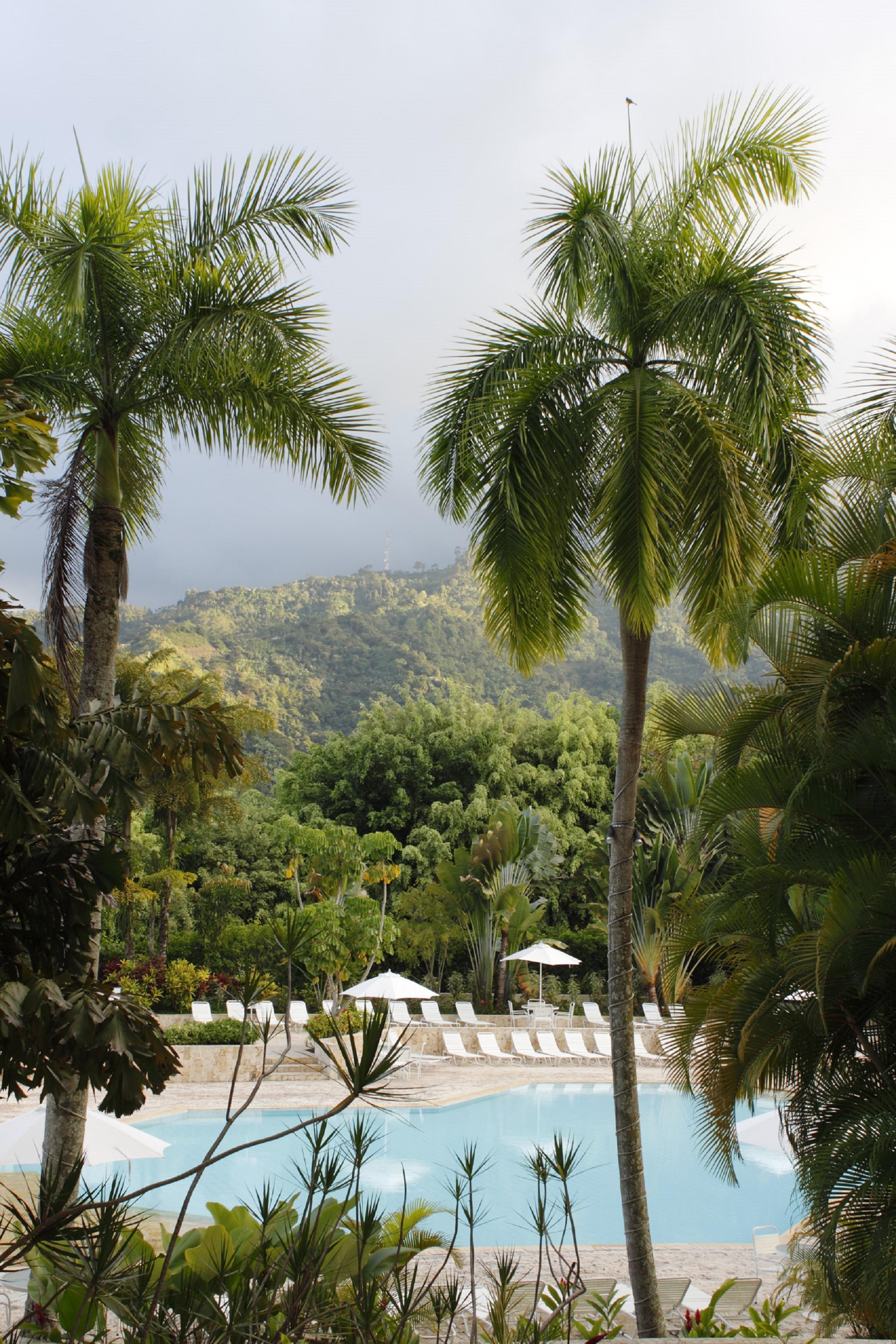 阿尔塔米拉星级酒店 Ibagué 外观 照片 Tropical rainforest in Hawaii